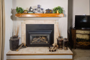 Living Area Fireplace
